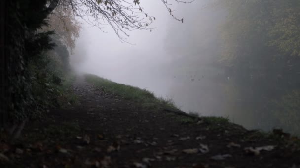 Canal Pathway Foggy Mist Weather Wide Landscape Panning Shot — Wideo stockowe