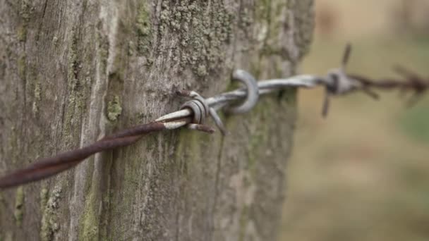 Barbed Wire Textured Wood Fence Close Detailed Shot — Vídeo de stock