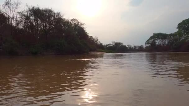 River Brazil Low Angle Shot Sunset — Stok video