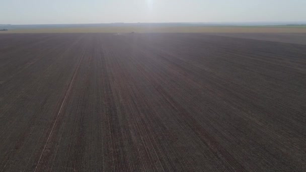 Vast Soy Crop Field Horizon Aerial View Landscape — Αρχείο Βίντεο