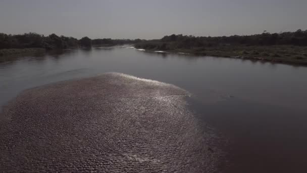 River Full Mud Because Sediment Deposit Gully Erosions — Stockvideo