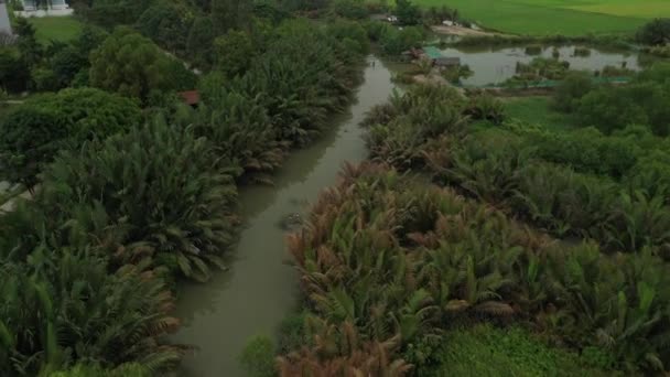 Drone Shot Flying Wetlands Rice Fields Outskirts Chi Minh City — Wideo stockowe