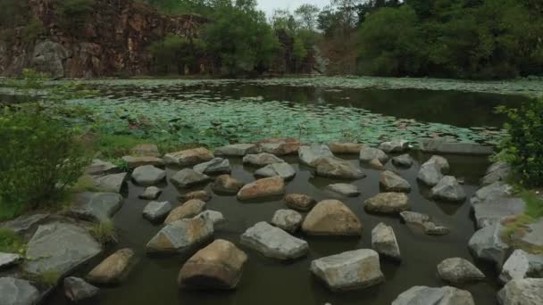 Very Low Level Drone Flying Rocks Water Lilies Lake Reflections — стоковое видео