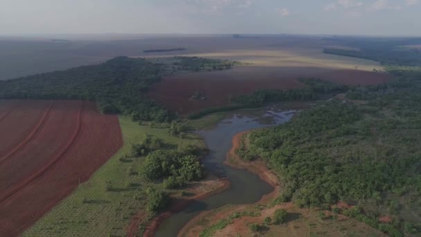 River Devastated Area Deforestation Crops — Stockvideo