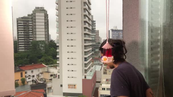 Man Prepares Hummingbird Feeder Flat Balcony View Sao Paulo City — Vídeos de Stock