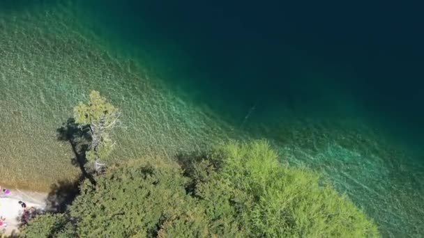 Aerial Top Beautiful Epuyen Lake Shore Transparent Water Tree Tops — Stock video