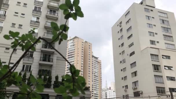 Flat Plant Buildings Sao Paulo City Centre Rainy Day — ストック動画
