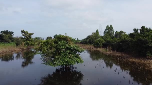 Luchtvogels Oog Van Extreem Overstroomd Tarweveld Cambodja Klimaatverandering Aarde — Stockvideo