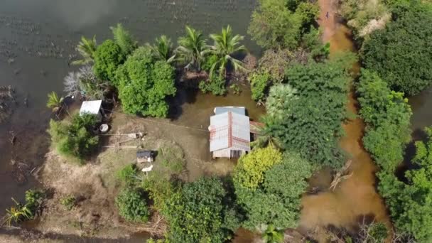 Maisons Terrain Ferme Entouré Eaux Inondation Battambang Cambodge Vue Aérienne — Video