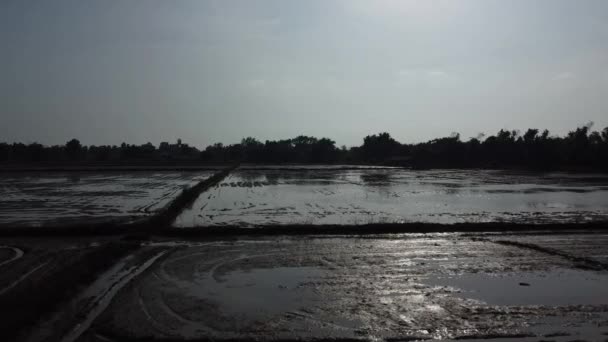 Drone Flight Flooding Farm Fields Extreme Rain Weather Deterioration Nature — Vídeo de stock