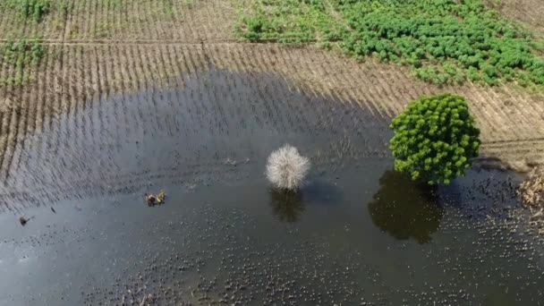 Heavy Flooding Nature Disaster Cambodia Descending Aerial Top Flight — Vídeo de stock