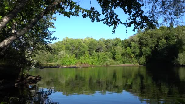 Quiet Place Water Surrounded Shades Made Trees Other Side River — Stock video