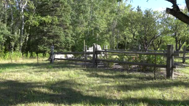 Decorative Wooden Fence Park Surrounded Grass Ground You Can See — Stockvideo