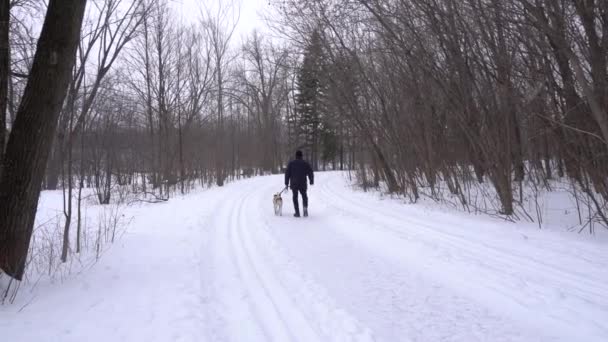 Man Walking His Dog Trail Snowing Day You Can See — Stockvideo