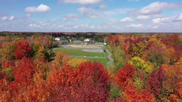 Empty Baseball Fields Surrounded Fall Coloured Forest — Stockvideo