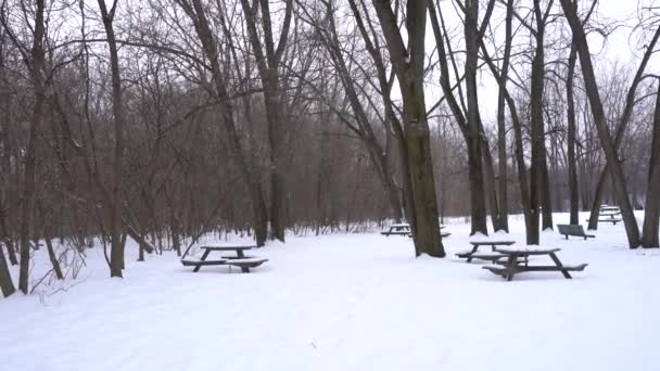 Lot Picnic Tables Recovered Snow Park Many Trees Cloudy Day — Vídeo de Stock