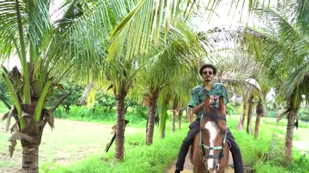 Young Handsome Man Brown Horse Man Riding Horse — Stok video