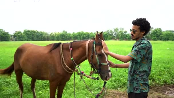 Jonge Knappe Man Met Bruin Paard — Stockvideo