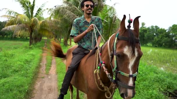 Young Handsome Man Brown Horse Man Riding Horse — Αρχείο Βίντεο