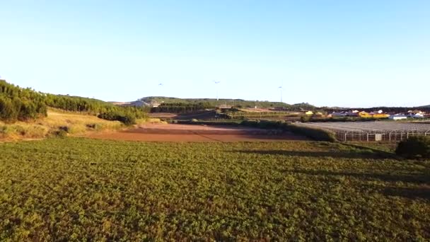 Aerial View Agriculture Fields Being Watered Wind Fans Background Going — Vídeo de Stock