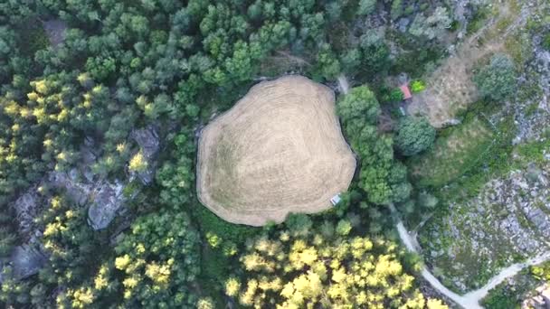 Aerial View Field Surrounded Trees Peneda Geres National Park Portugal — Wideo stockowe