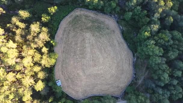 Aerial View Field Surrounded Trees Peneda Geres National Park Portugal — 图库视频影像
