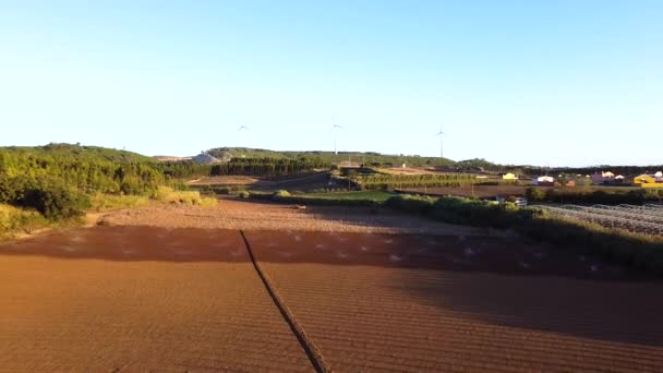 Aerial View Agriculture Fields Being Watered Wind Fans Background Going — Vídeo de stock