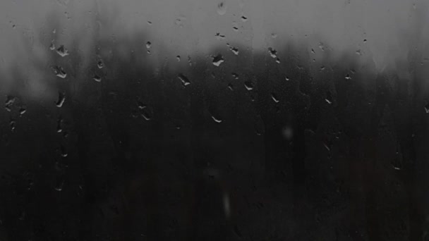 Static Shot Raindrops Window Dark Grey Tones Shallow Focus — Stock video