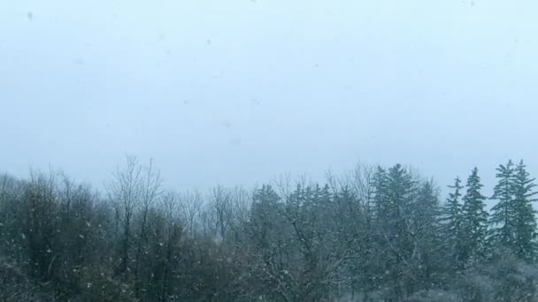 Landscape Snow Storm Static — Vídeo de Stock
