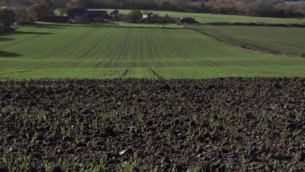 Farmland Yorkshire Early Crop Shoots Wide Landscape Crane Shot — Vídeo de Stock