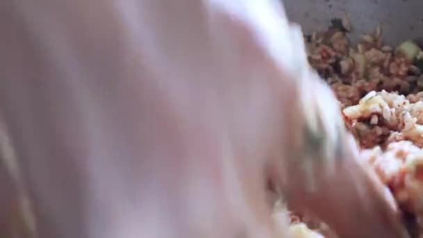 Жіночі Руки Змішують Інгредієнти Східних Страв Під Назвою Dolma Bowl — стокове відео
