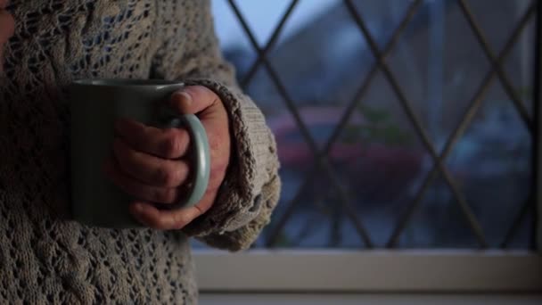 Woman Mug Hot Drink Window Medium Shot — Stock videók