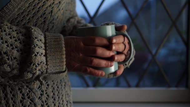 Woman Warming Hands Hot Drink Window Medium Shot — Vídeo de stock