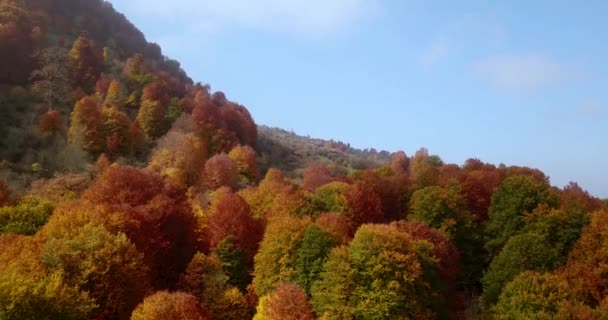 Μπλε Ουρανός Λευκά Σύννεφα Πράσινα Λιβάδια Στα Ορεινά — Αρχείο Βίντεο