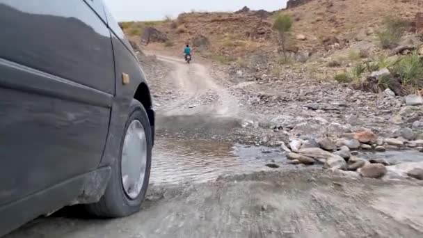 Sedan Car Driving Rural Road Nature Dust Road Close Rice — ストック動画