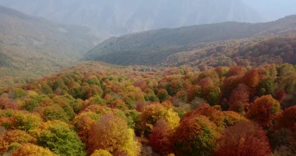 Aerial Shot Gorgeous Colorful Trees Iran Hyrcanian Forest Stunning Landscape — Αρχείο Βίντεο