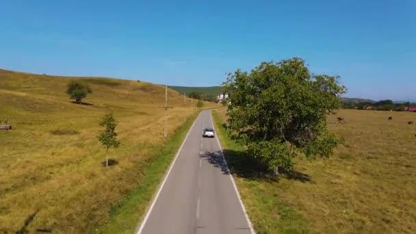 Drone Footage Chasing Car Empty Road Rural Area — 비디오