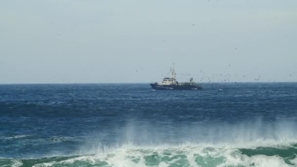 Риболовля Круїз Близько Берега — стокове відео