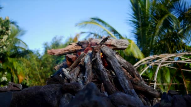 Slomotion Big Campfire Day Time Palmtrees — Vídeo de stock