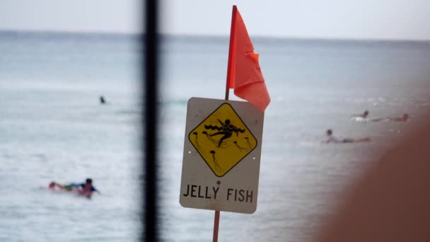 Surf Waikiki Jelly Fish Sign Red Flag — Stockvideo