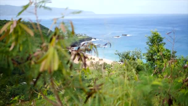 Hawaii Waimea Bay Day Time — Stock videók