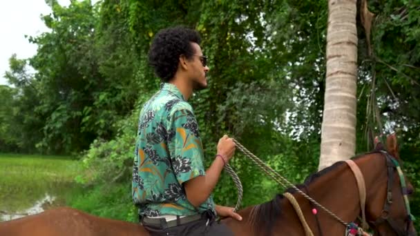 Young Handsome Man Brown Horse Man Riding Horse — Vídeo de Stock