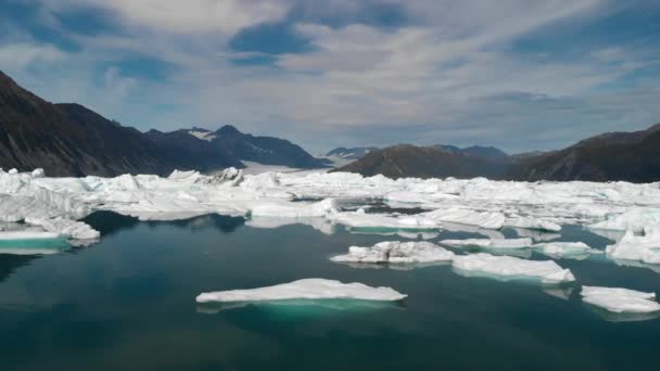 Drone Aerial View Icebergs Glacial Water Alaskan Coastline Sunny Day — Vídeo de stock