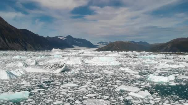 Icebergs Glacial Water Alaskan Coastline Aerial View Glacier Melting Dramatic — Vídeo de stock