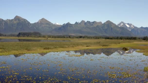 Scenic View Reflections Snowcapped Mountains Blue Sky Alaska Usa Wide — Vídeo de Stock