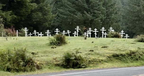 Wooden Cross Grave Meadow Coniferous Forest Background Alaska Wide Shot — 비디오