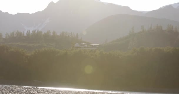 Літаючи Cessna Покритими Снігом Горами Деревами Відстані Протягом Дня Алясці — стокове відео