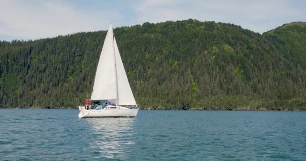 Tourists Sailboat Sailing Ocean Forested Mountain Background Alaska Wide Shot — Vídeo de Stock