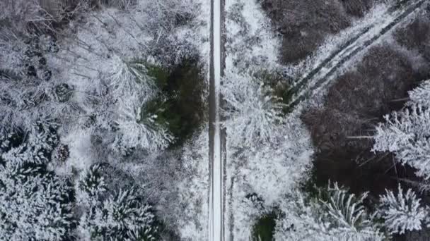Top Shot Flight Drone White Snow Covered Forest Central Path — Stockvideo