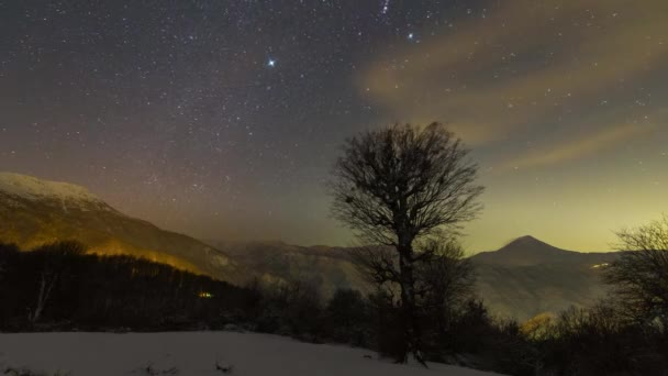 Alone Tree Top Forest Freezing Cold Night Iran Mazandaran Jungles — Vídeos de Stock